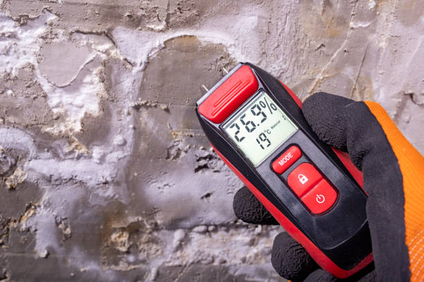 Best Commercial Mold Removal  in Oak Grove Heights, AR