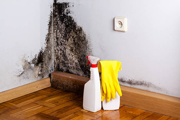 Best Crawl Space Mold Removal  in Oak Grove Heights, AR